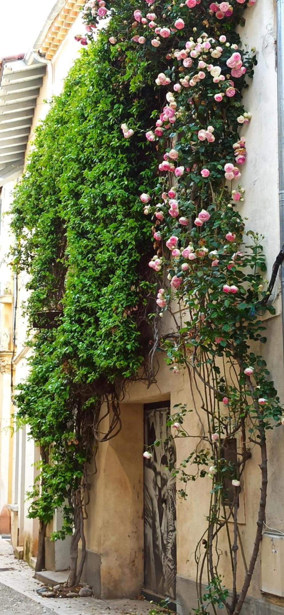 L'Appartement De La Roquette Centre Historique Arles Zewnętrze zdjęcie